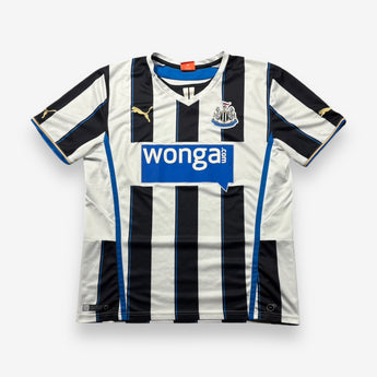 Newcastle United 2013/2014