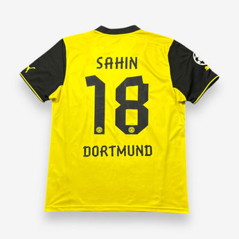 Borussia Dortmund 2013/2014