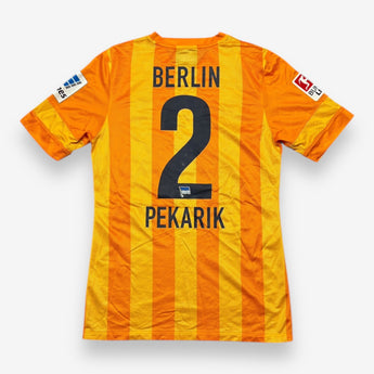 Hertha BSC 2013/2014