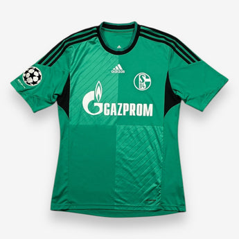 FC Schalke 04 2013/2014