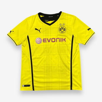 Borussia Dortmund 2013/2014