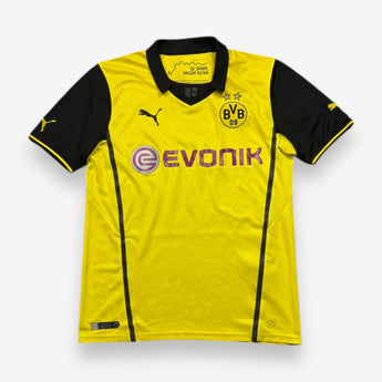 Borussia Dortmund 2013/2014