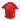 Schweiz WM 2010