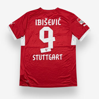 VfB Stuttgart 2012/2013