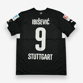 VfB Stuttgart 2014/2015