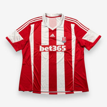 Stoke City 2013/2014
